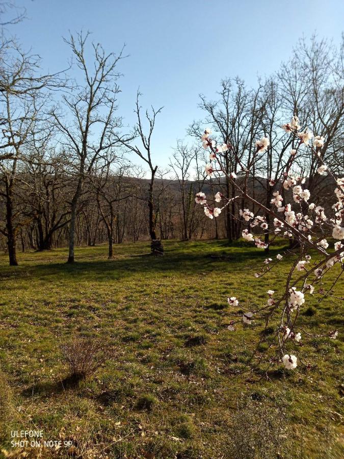 Holiday home Location Proche Gourdon Saint-Cirq-Souillaguet